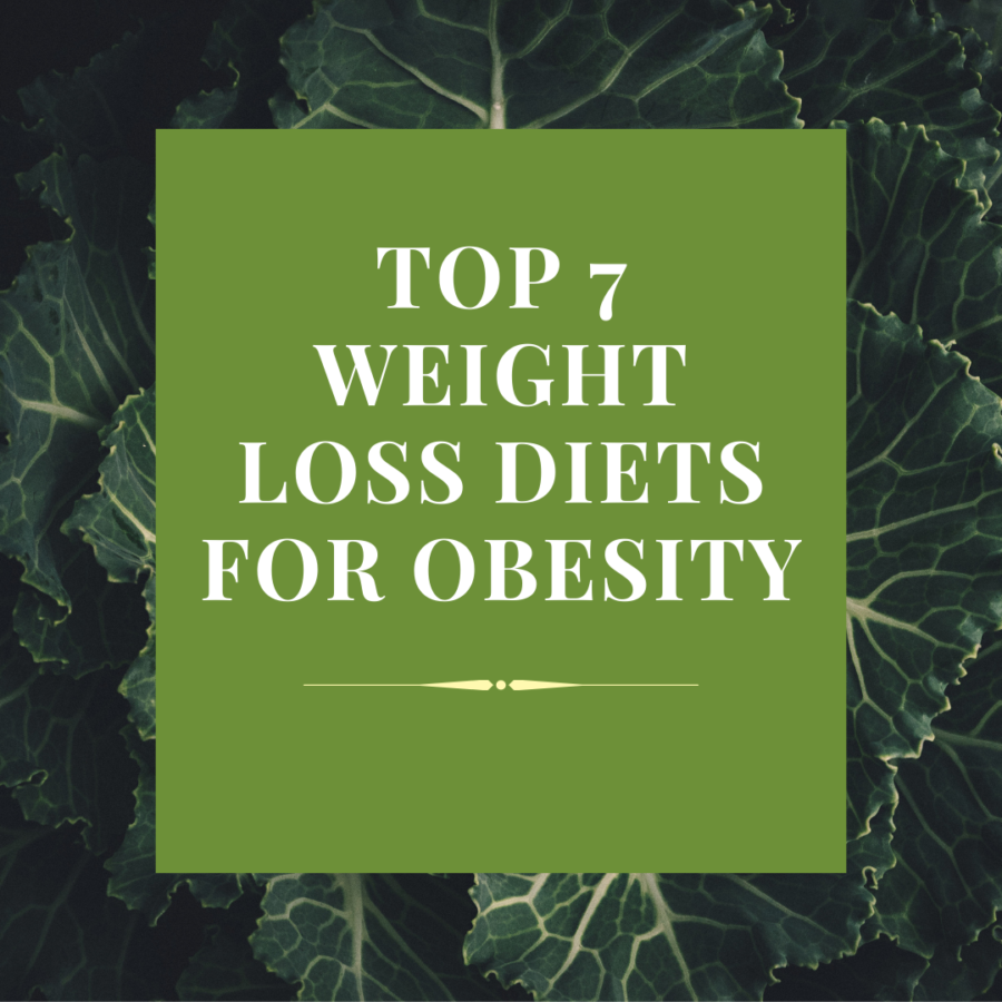 Top 7 Weight loss diets for obesity – That Big Blog.